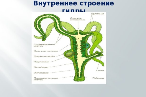 Kraken13 at сайт