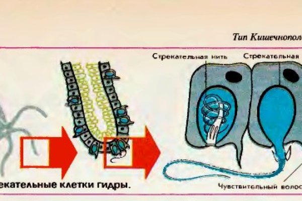 Кракен ссылка тор браузер